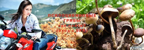mdpv Нефтекумск