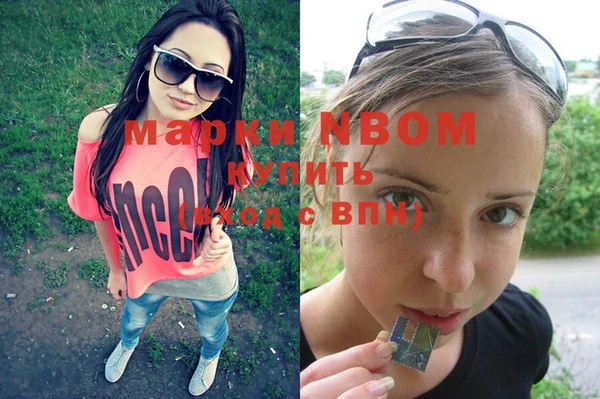 соль ск Новодвинск