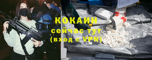 соль ск Новодвинск