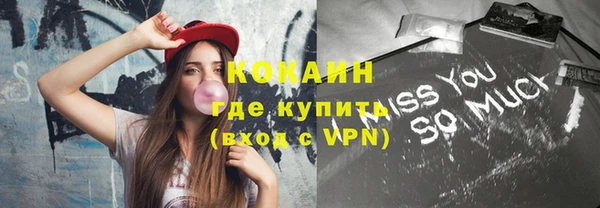 соль ск Новодвинск